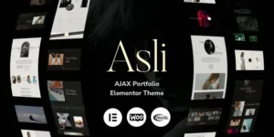 Asli – AJAX Portfolio Elementor WordPress Theme