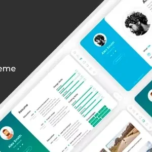 BreezyCV – CV/Resume WordPress Theme