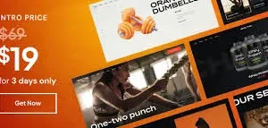 Healthic – Sports Center & Fitness Gym WordPress Theme