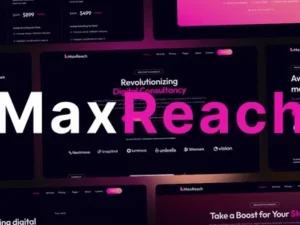 MaxReach – SEO & Digital Agency WordPress Theme