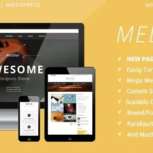 Mediso – Corporate / One-Page / Blogging WP Theme