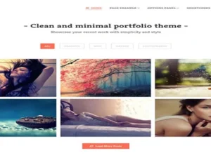 MyThemeShop Portfolio WordPress Theme