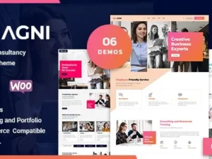 Agni – Consulting Business