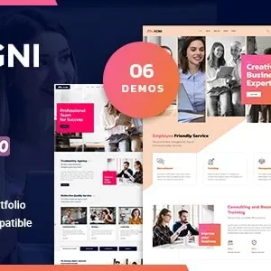 Agni – Consulting Business