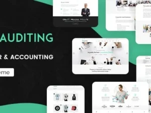 Auditing – Accounting Consultant, Finance WordPress Theme