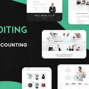 Auditing – Accounting Consultant, Finance WordPress Theme