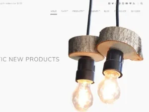 Loge – CSSIgniter WordPress Theme