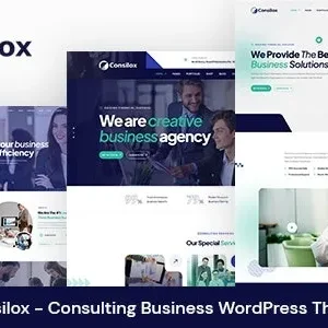 Consilox – Consulting Business WordPress Theme