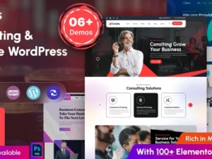 GTBUS Business Consulting WordPress Theme