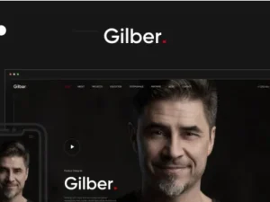 Gilber – Personal WordPress Theme