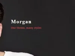 Morgan – Resume, vCard and Profile Theme
