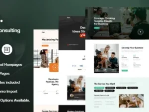 Raki – Business & Finance Consulting WordPress Theme