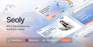 Seoly – SEO & Digital Marketing WordPress Theme
