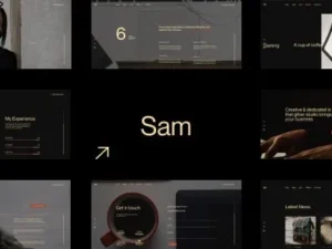 Sam Bailey – Personal CV/Resume WordPress Theme