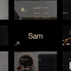 Sam Bailey – Personal CV/Resume WordPress Theme