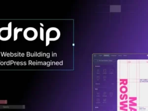 Droip No-Code Website Builder for WordPress