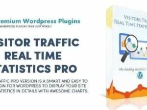 Visitor Traffic Real Time Statistics Pro