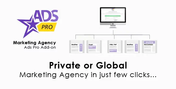 Ads Pro Add-on – WordPress Marketing Agency for ads marketing