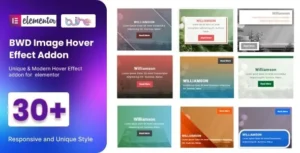 BWD Image Hover Effect – Addon for Elementor