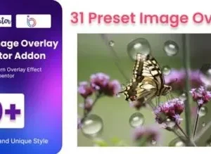 BWD Image Overlay Addon For Elementor for wordpress