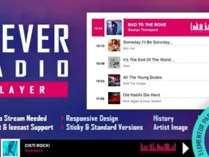 CLEVER HTML5 Radio Player With History – Elementor Addon for wordpress