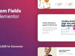 Fielder – WordPress Custom Fields for Elementor for wordpress