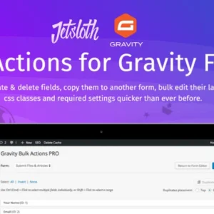 Gravity Forms Bulk Actions Pro – Jetsloth for wordpress
