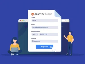 Gravity Forms Core Plugin for wordpress