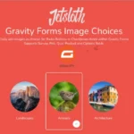 Gravity Forms Image Choices – Jetsloth for wordpress