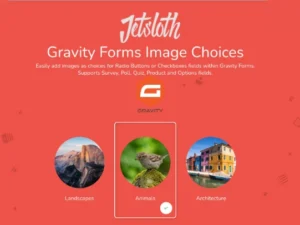 Gravity Forms Image Choices – Jetsloth for wordpress