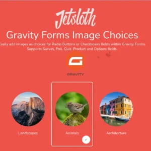 Gravity Forms Image Choices – Jetsloth for wordpress