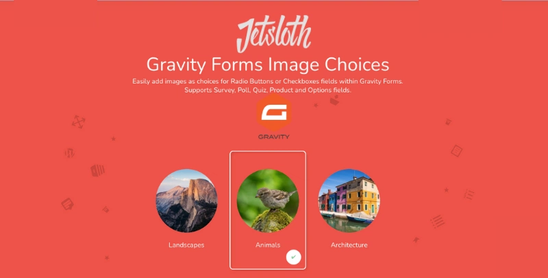 Gravity Forms Image Choices – Jetsloth for wordpress