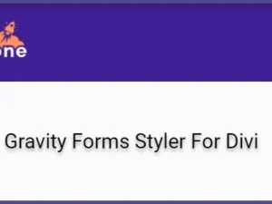 Gravity Forms Styler For Divi for wordpress