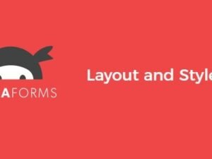 Ninja Forms Layout and Styles for wordpress