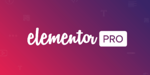 Elementor Pro – WordPress Website Themes Builder