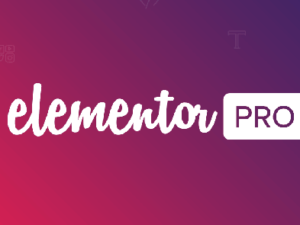 Elementor Pro