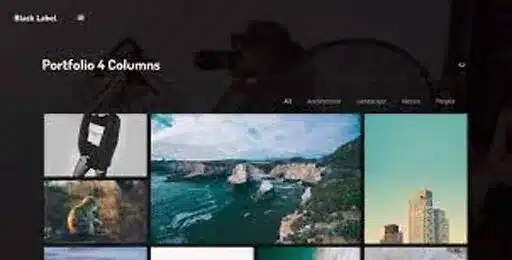 Black Label – Fullscreen Video & Image Background WordPress Theme